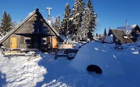 Chalet Encijan - Velika Planina